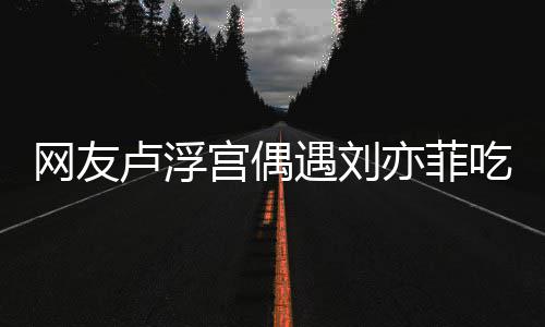 现她新手宫偶遇刘亦菲 意没换卢浮两年机网友外发吃饭